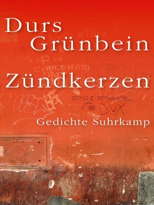 cover image of Zündkerzen